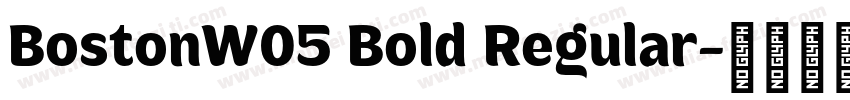 BostonW05 Bold Regular字体转换